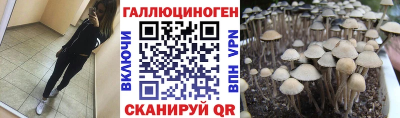 Купить закладки  Белая Холуница  Псилоцибиновые грибы Psilocybine cubensis 